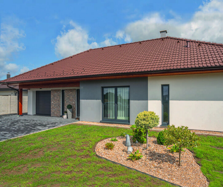 ClassicProtectorPlus 02 dum