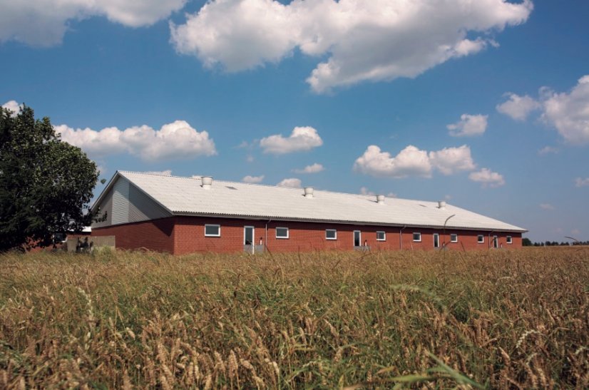 CEMBRIT Vlnitá krytina B8 - Barva: přírodní šedá, Typ krytiny: Vlnitá krytina, Název: CEMBRIT Vlnitá krytina B8, Rozměry: 6 mm x 1020 mm x 2500 mm