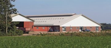 Vlnitá krytina A6 - Rozměry - 6.5 mm x 1 025 mm x 1 180 mm