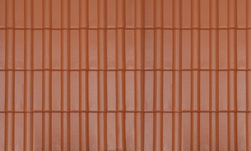 ClassicProtectorPlus 01 textura